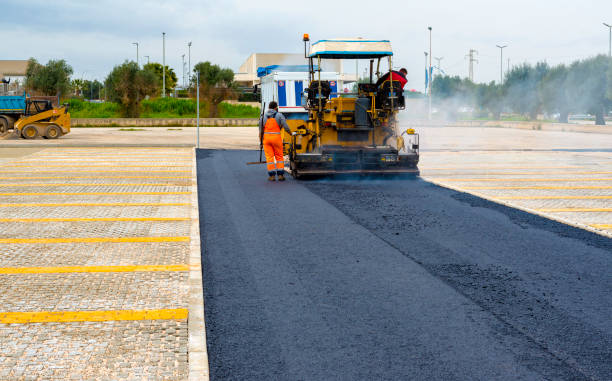 Best Decorative Driveway Pavers  in Wesley Chapel, NC