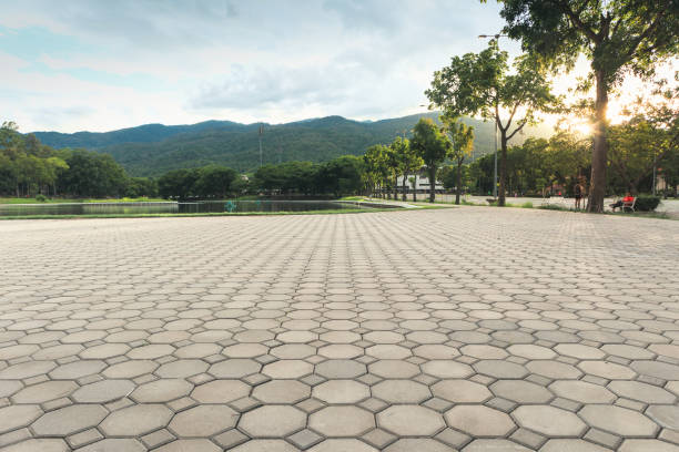 Best Paver Driveway Replacement  in Wesley Chapel, NC